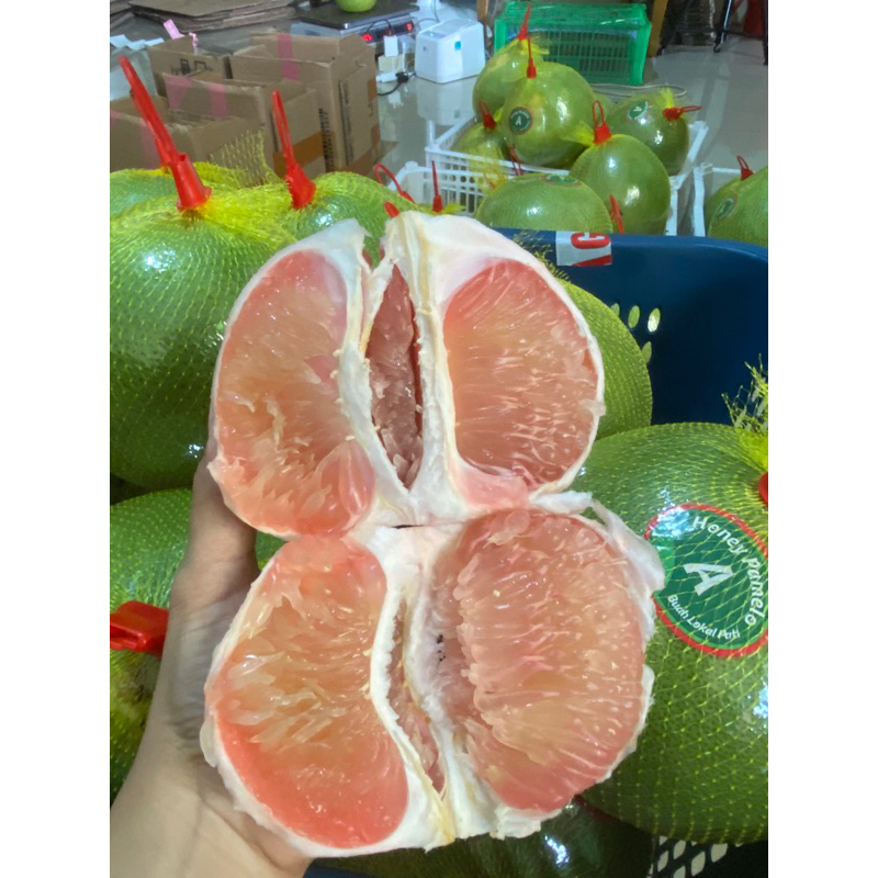 

jeruk pamelo madu 1,5kg - 1,7kg