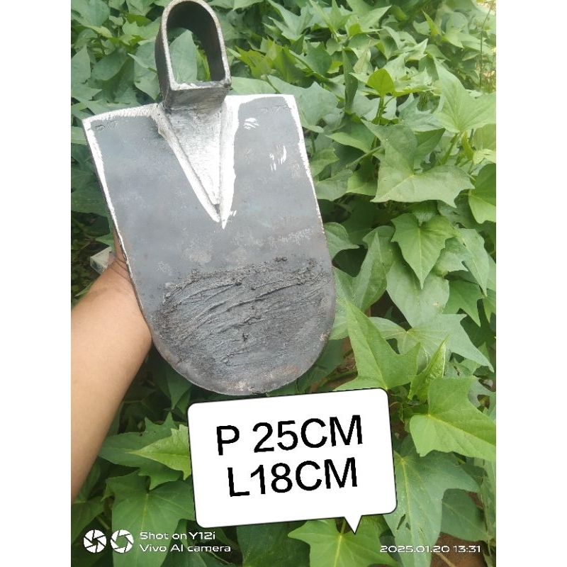 pacol sawah baja asli/cangkul sawah kebun,/ cangkul ladang,pacol sawah