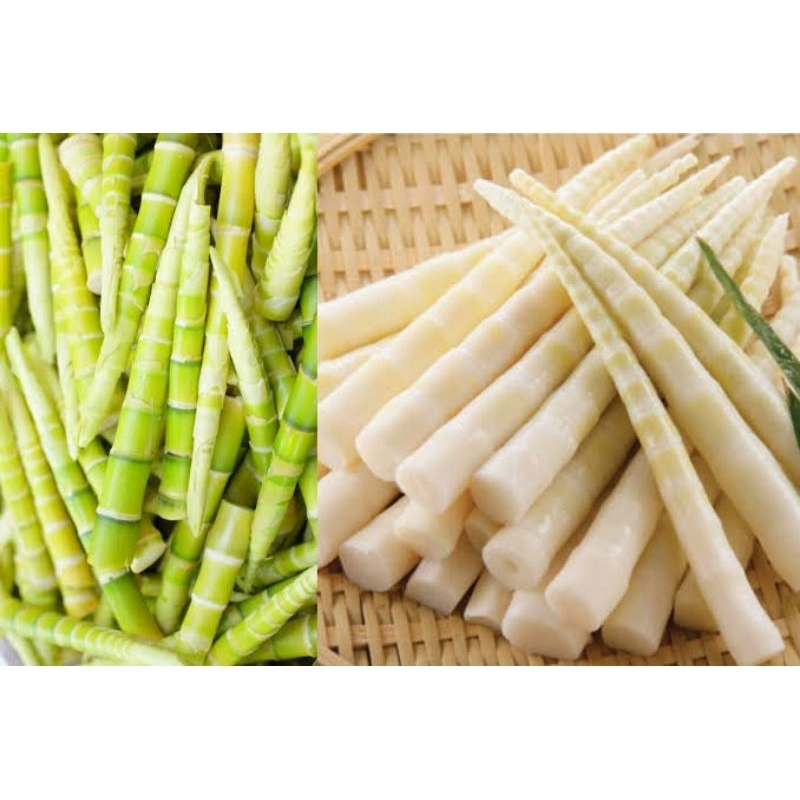 

rebung bambu muda dijamin krenyesnya