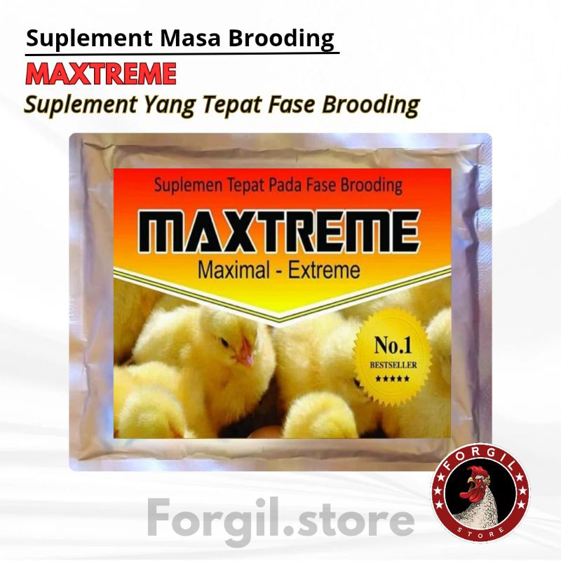 MAXTREME Suplement Fase Brooding Ayam - Vitamin, Obat Ayam broiler