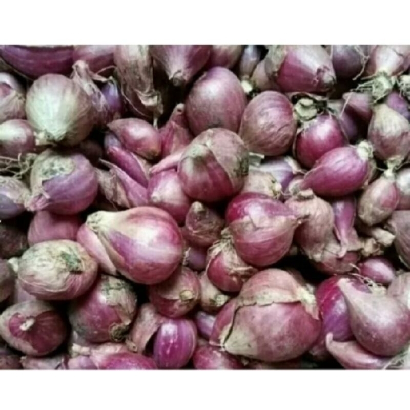 

Bawang Merah Brebes 1 Kg CAMPUR Besar/Kecil/Sedang