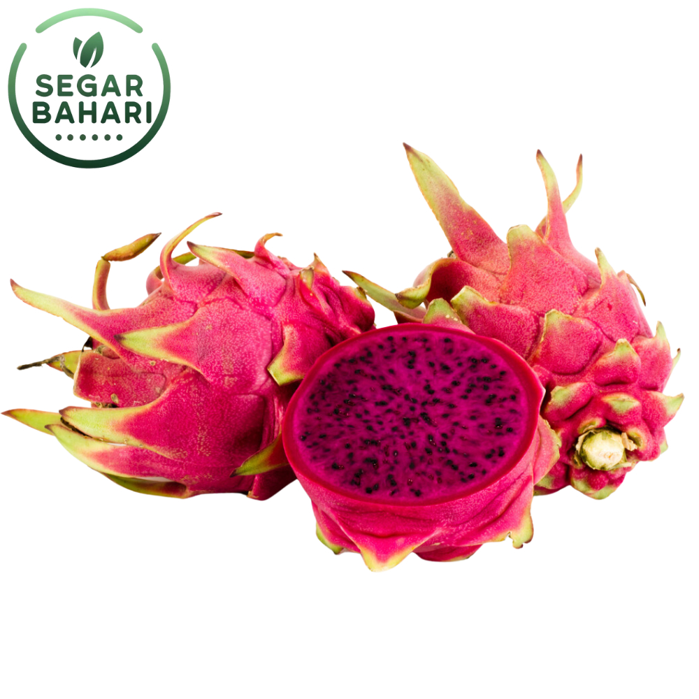

Buah Naga Merah 1Kg Segar Bahari