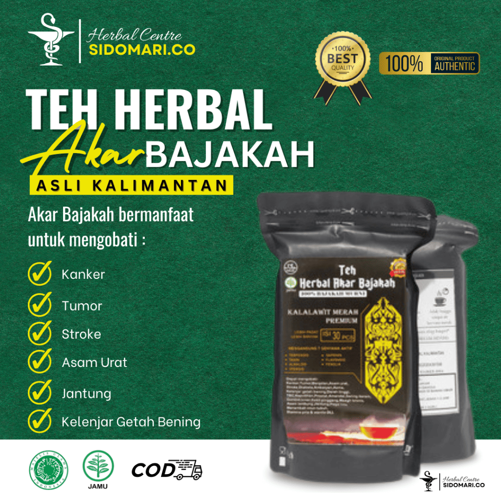 

[ PROMO HEMAT !! ] TEH KAYU BAJAKAH 100% ORIGINAL KALIMANTAN - Cegah Kanker / Asam Urat / Liver / Herbal • SIDO.MARI