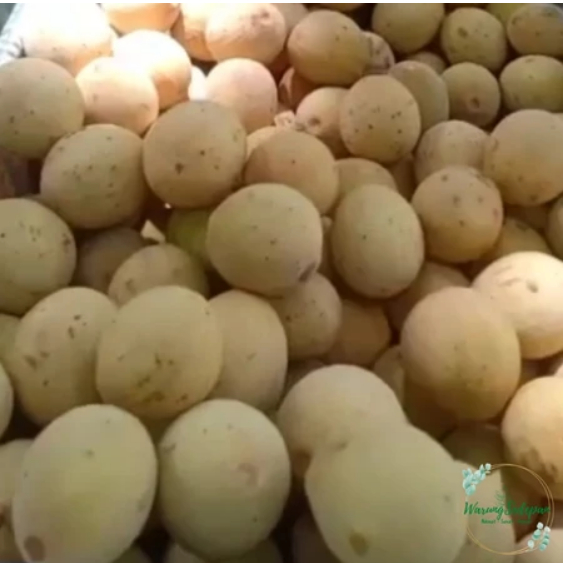

Duku Palembang 1kg Buah Baru Musim Duku Segar Baru Panen Buah Segar Cikarang Buah Lokal Murah