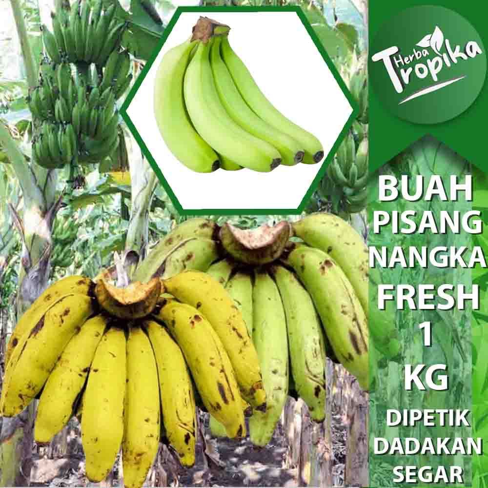 

Pisang Nangka Montok 1 Sisir 1 kg Siap Matang toko herba tropika