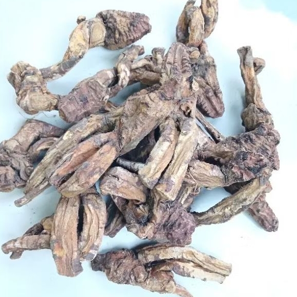 

Kelembak klembak kering asli tanpa campuran