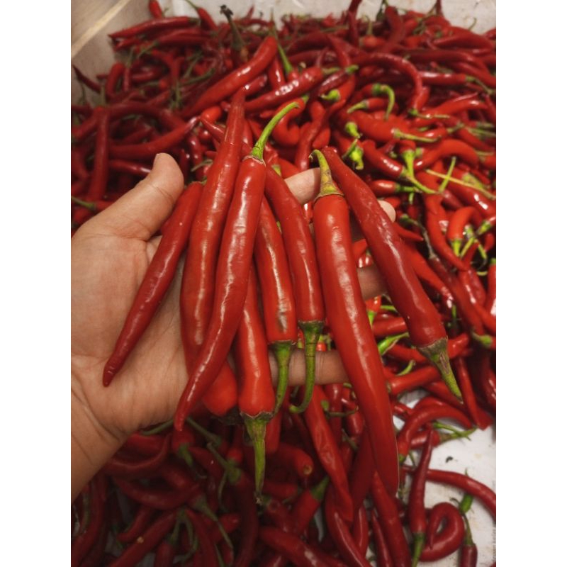 

Cabe Merah TW 250gram