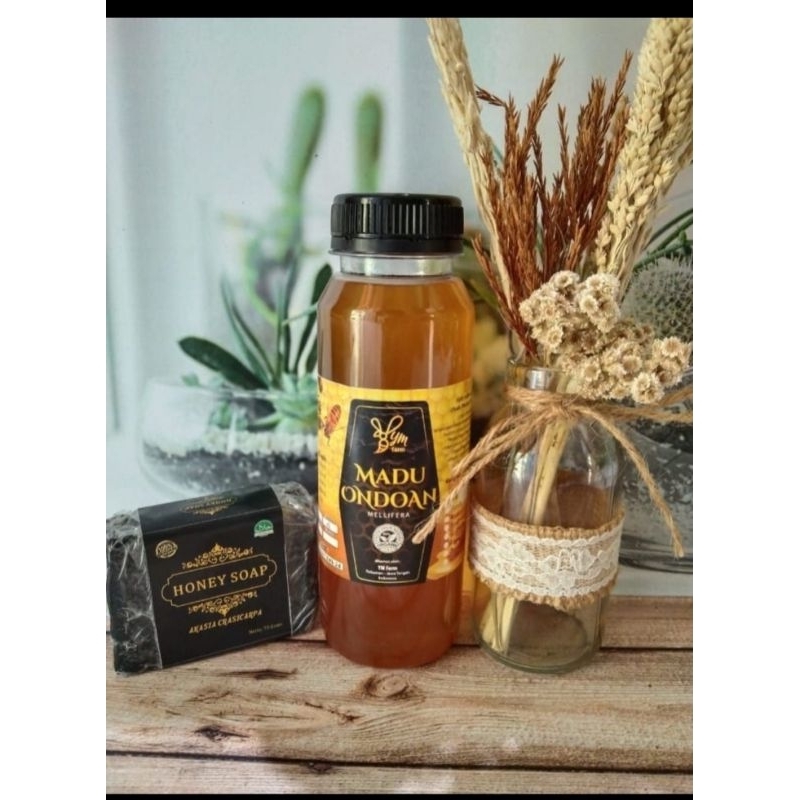 

Madu Trigona Klanceng