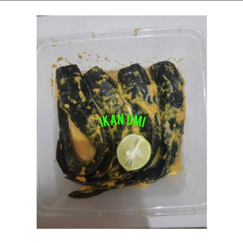

Lele Bumbu Kuning 4 ekor 500gr