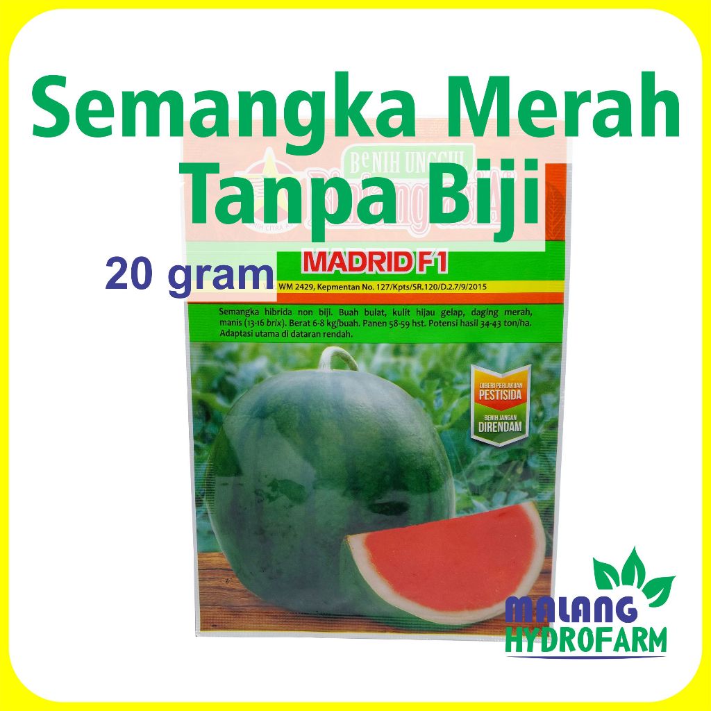 Benih Semangka Merah Tanpa Biji Madrid F1 20 g Bintang Asia dataran rendah red seedless watermelon b