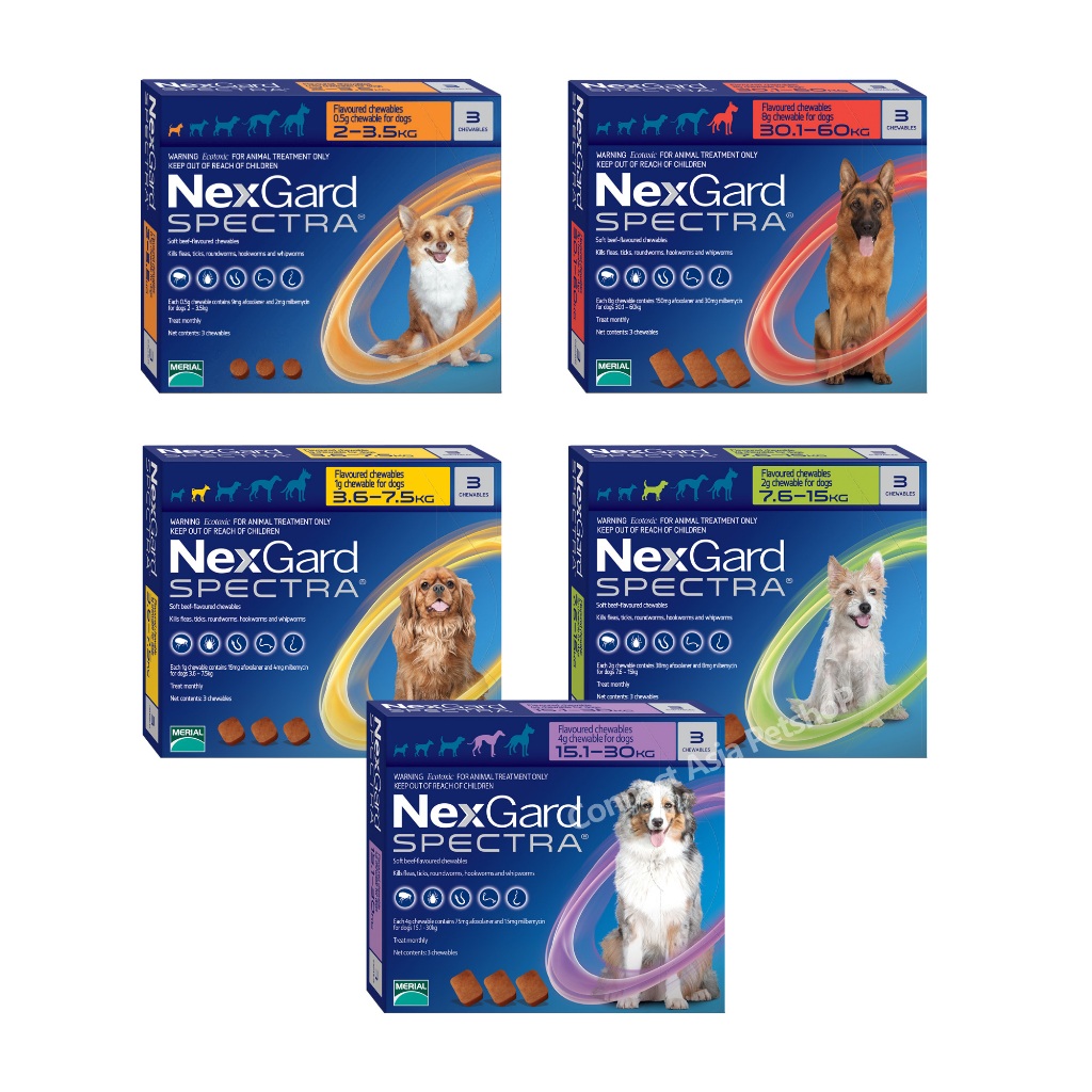 Nexgard Spectra dog obat kutu dan cacing