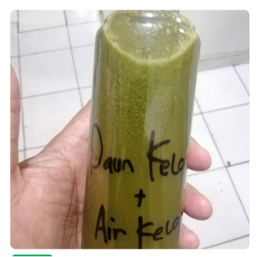 

jus daun kelor air kelapa sehat murah 1 liter