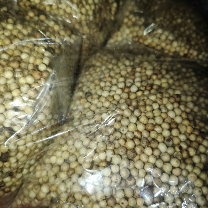 

pedes, pedes biji, lada putih berkualitas