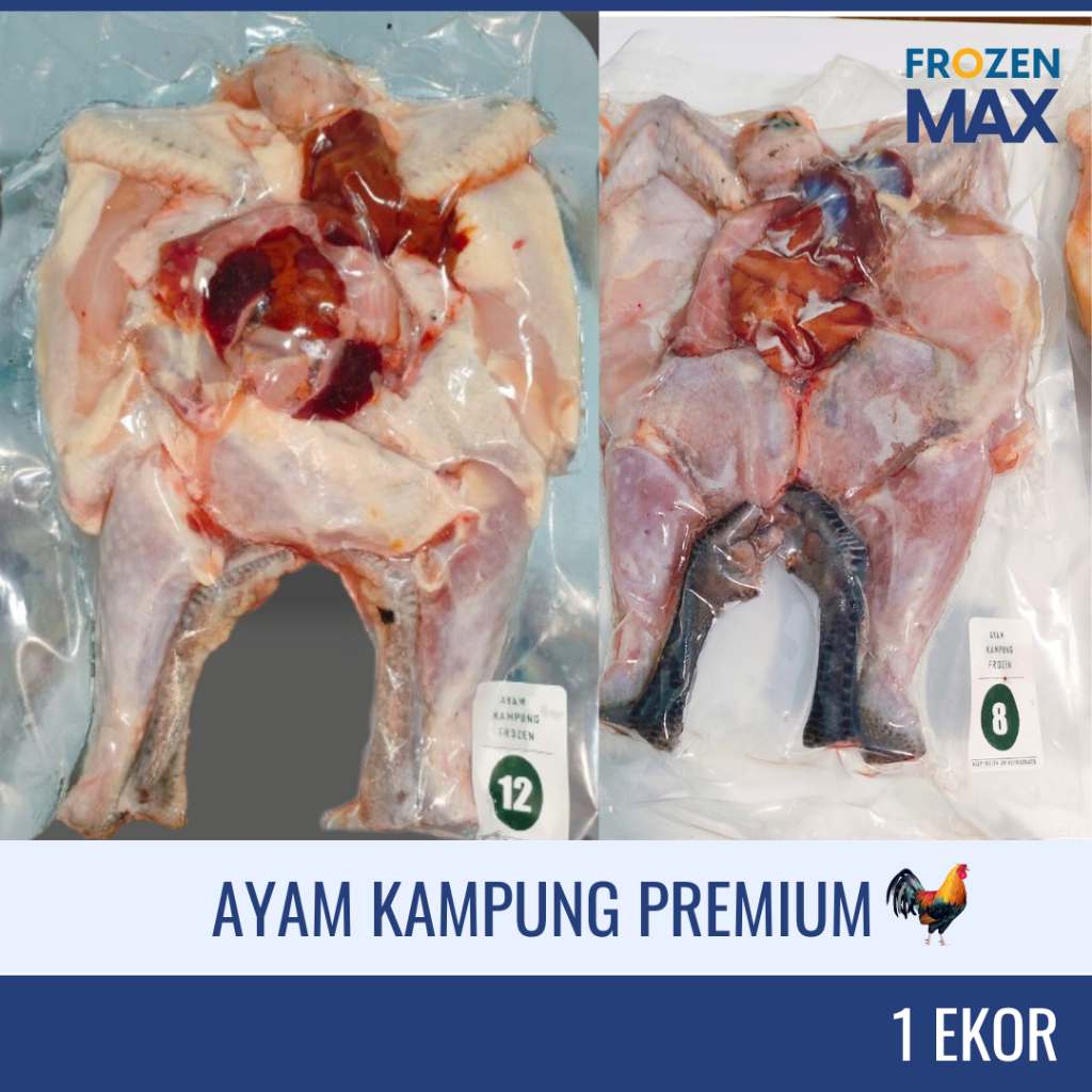 

Ayam Kampung Premium | Ayam Kampung Frozen | Ayam Kampung Potong Bersih 1 Ekor