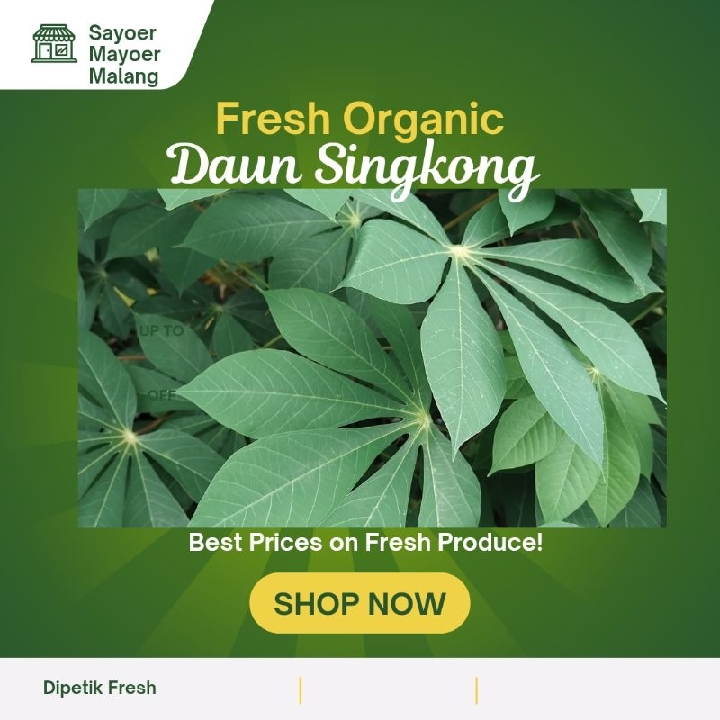 

Daun Singkong