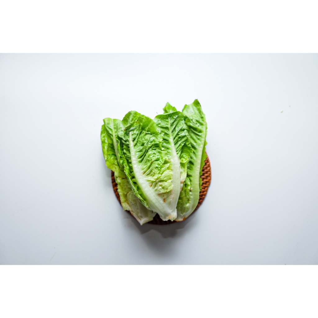 

Baby romaine lettuce hijau segar 250gram