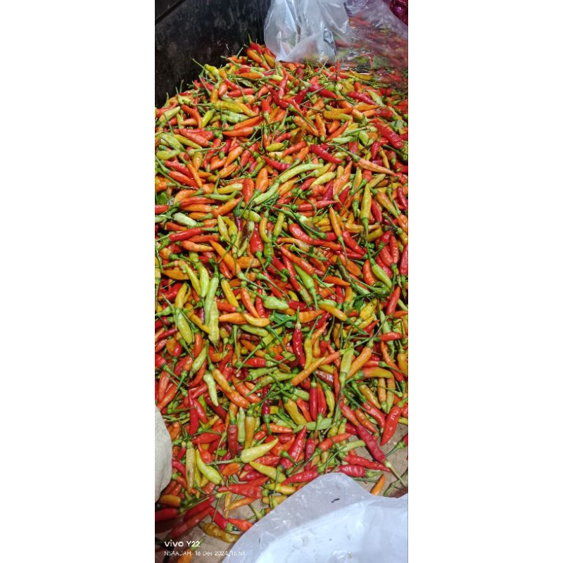 

CABE KECIL 1000GRAM