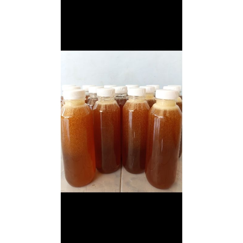 

MADU HUTAN ASLI SUMBAWA 250ml