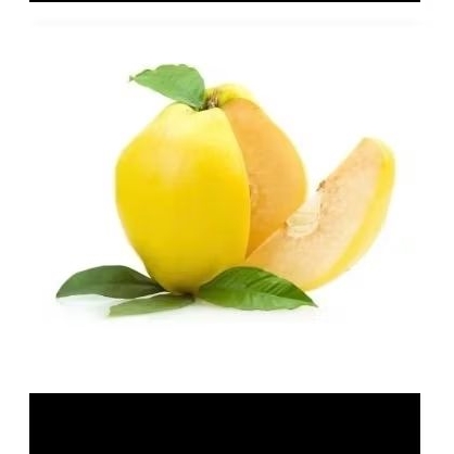 

buah safarjal/buah ayva buah banyak manfaat