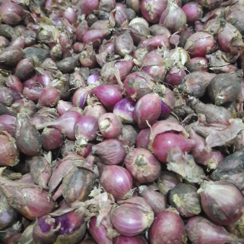 

Bawang merah Brebes 1kg