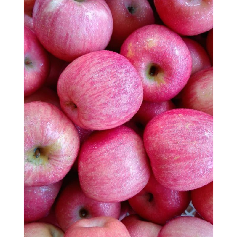 

1 KG APEL FUJI FRESH JUAL APEL FUJI MALANG MURAH GRATIS ONGKIR