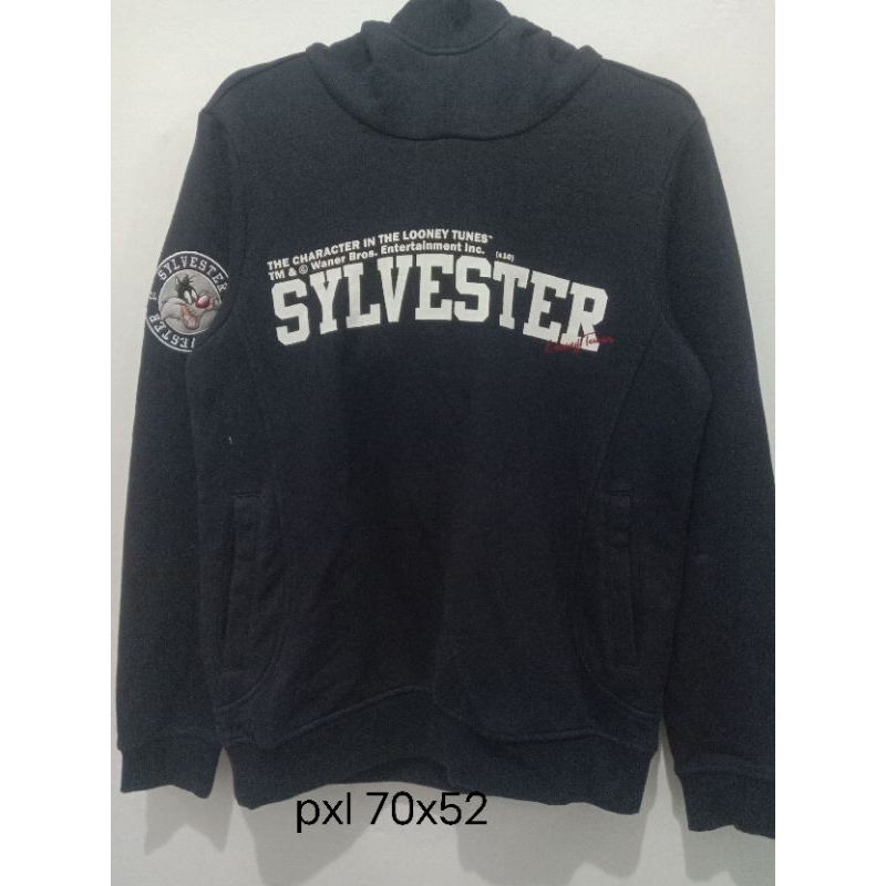 hoodie looney tunes