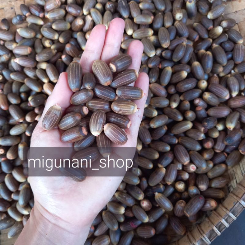 

biji melinjo kupas 1kg mlinjo mentah bahan emping