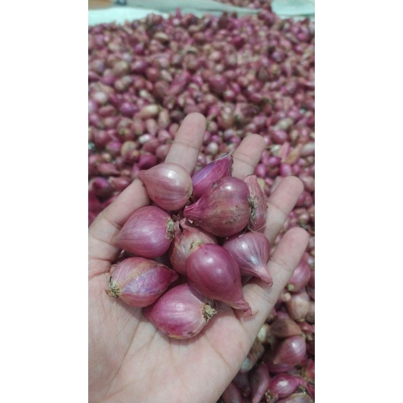 Bawang Merah 1KG Asli Nganjuk JAWA TIMUR