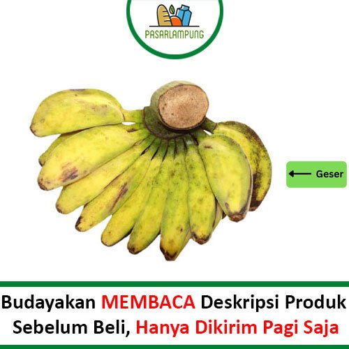 

Pisang Kepok Persisir Pasar Lampung