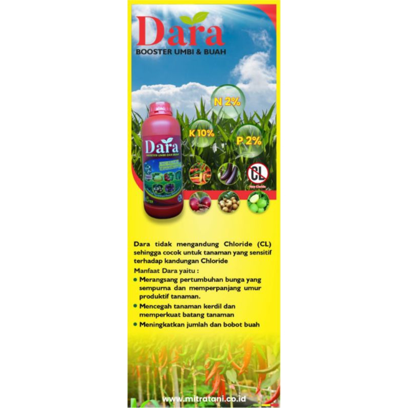 KCL cair DARA Booster Umbi dan Buah