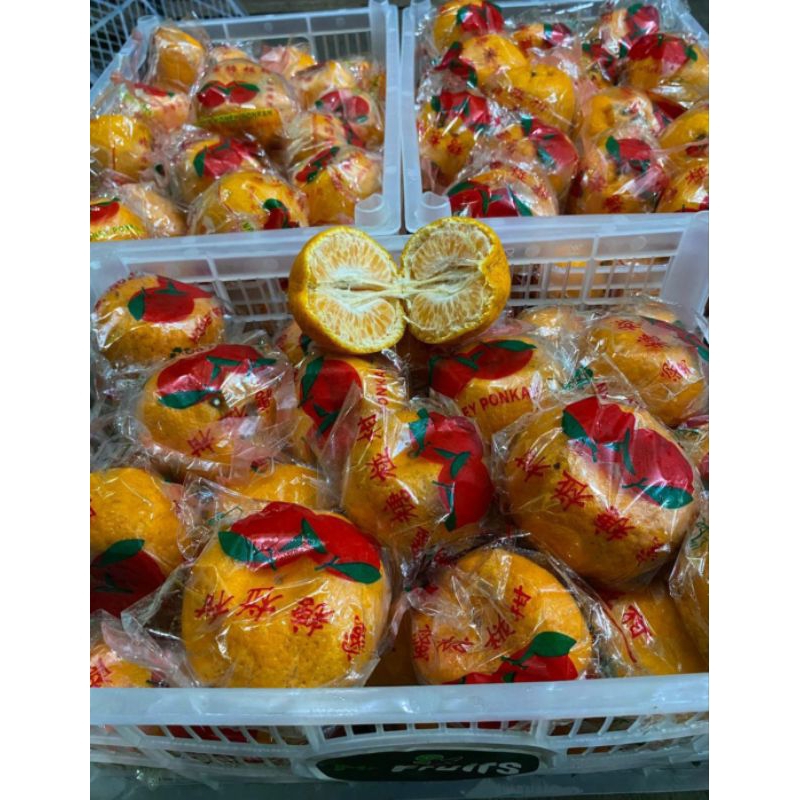 Jeruk Ponkam Mandarin Jeruk Imlek 9 kg 1 Box Keranjang
