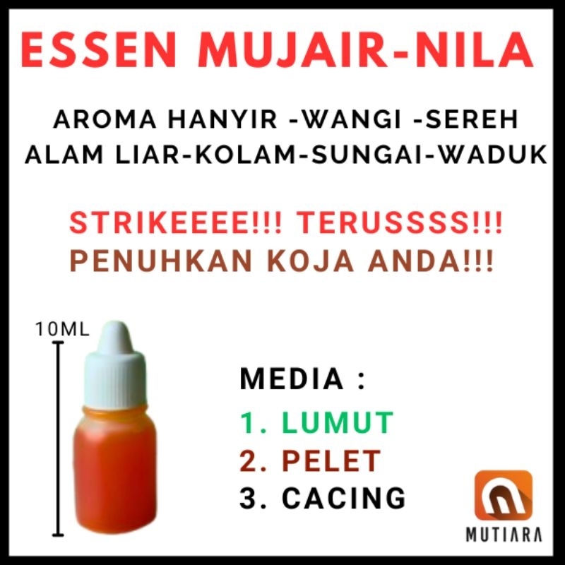 Essen Mujair/Essen Nila | HARGA SPECIAL