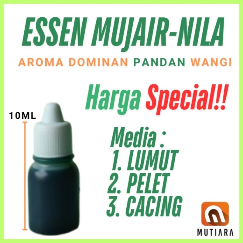Essen Mujair/Essen Nila Pandan | HARGA SPECIAL