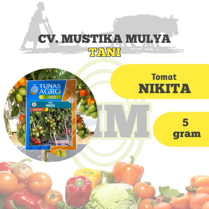 BENIH TOMAT ( NIKITA ) TUNAS AGRO