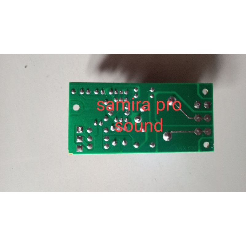 speaker protektor mono