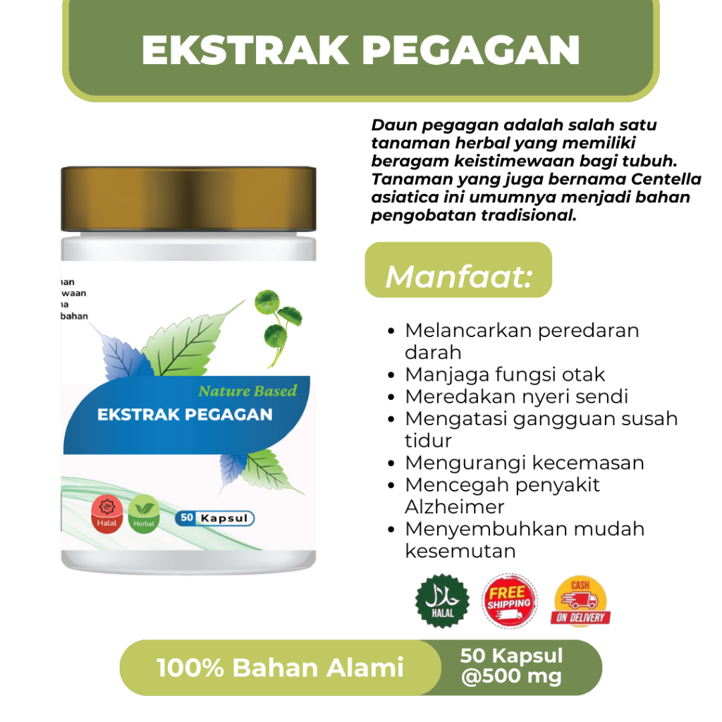 EKSTRAK PEGAGAN | EKSTRAK CENTELLA ASIATICA @500 MG