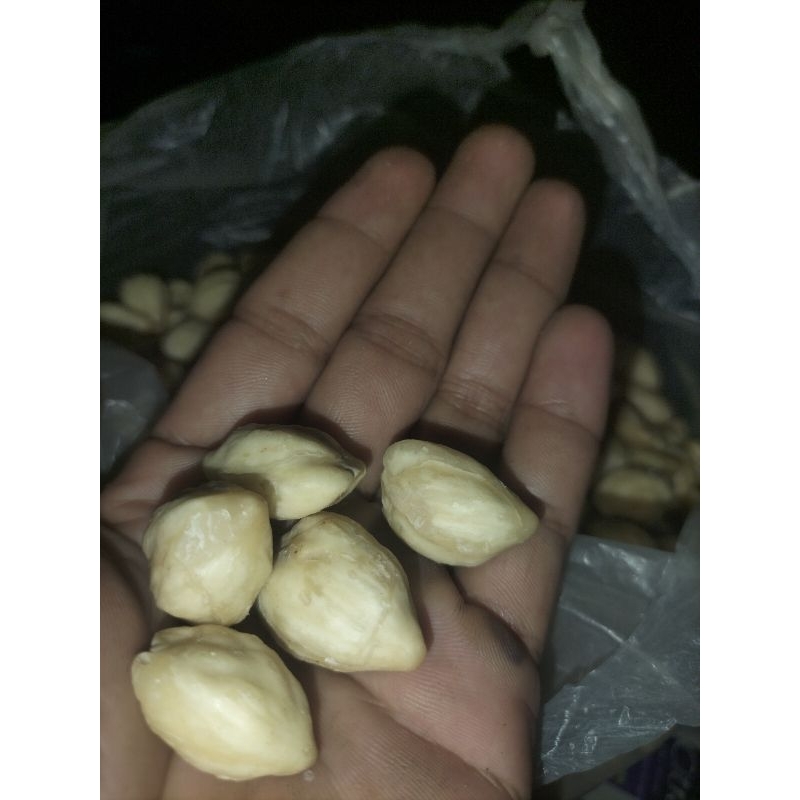 

KEMIRI KUPAS KEMIRI KERING,FRES/1 KG