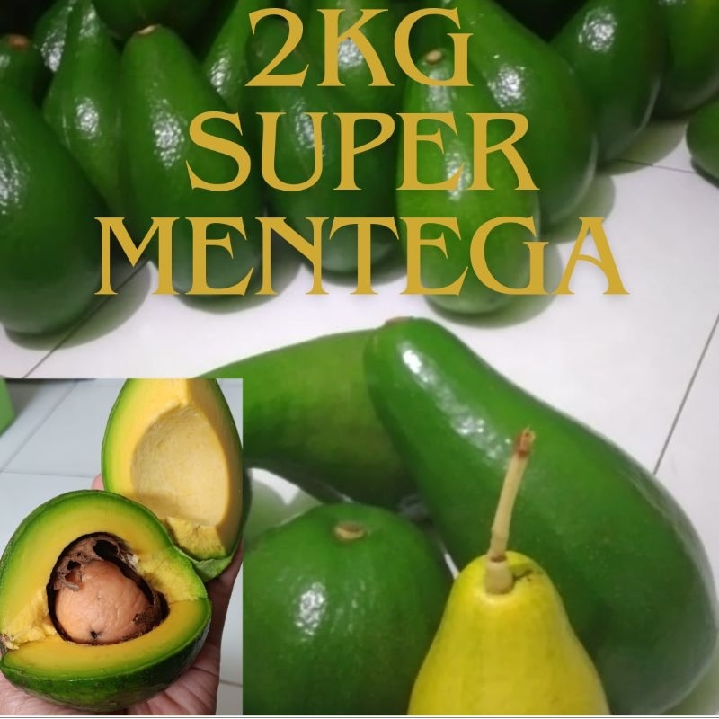 

ALPUKAT MENTEGA SUPER 2KG ISI 5-6 BUAH pulen legit