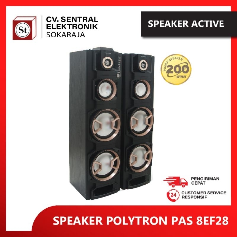 Speaker Polytron Pas 8FF28
