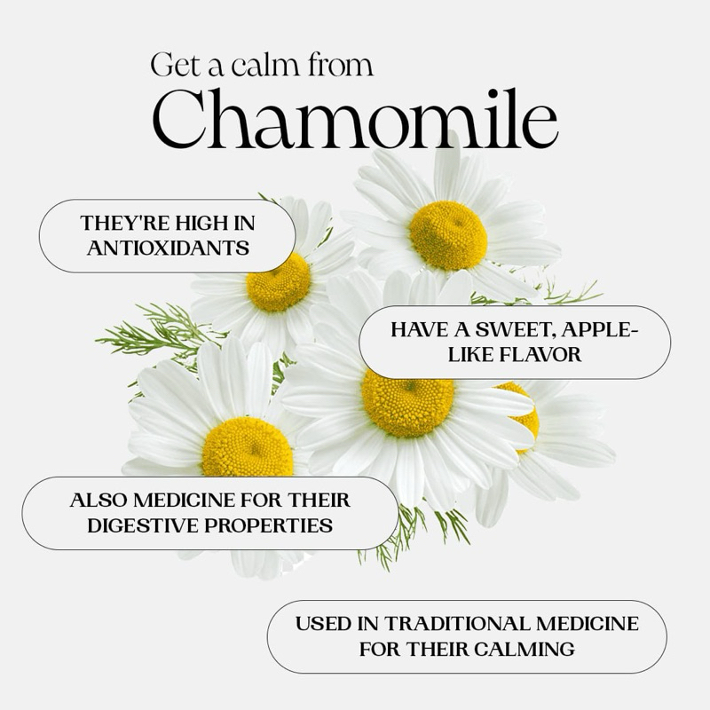 

Edible Flower Chamomile Akar Wangi