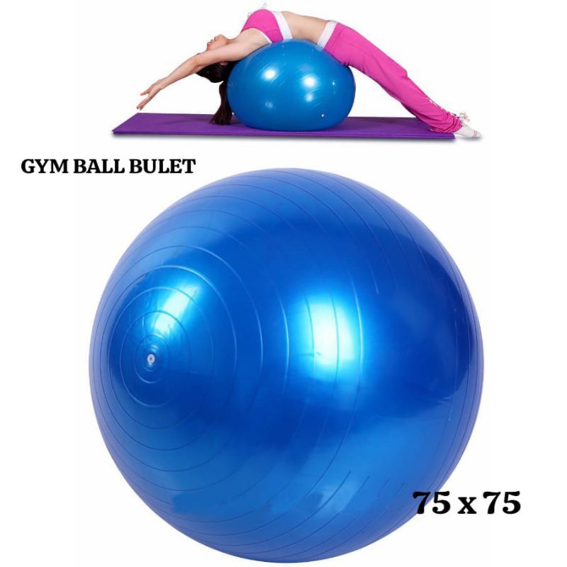 GETOYS MAINAN BALITA DAN ANAK BOLA FISIOTERAPI