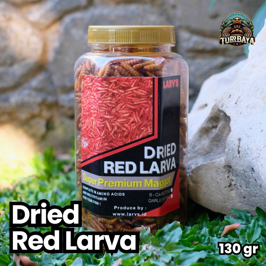 Super Red Maggot / Premium Maggot Kering / Dried Red Larva 85gr