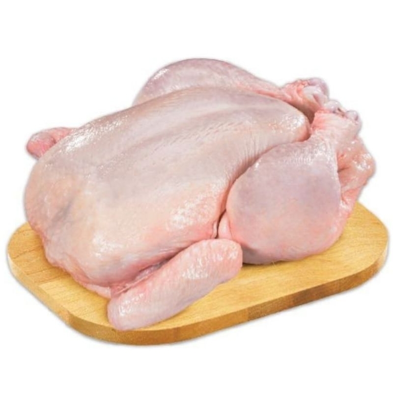 

Ayam Boiler Utuh ( ayam Karkas)