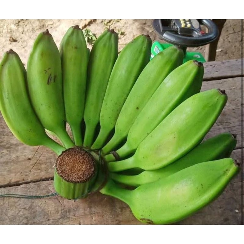 

buah pisang kepok mentah tua1 sisir 1kg lebih