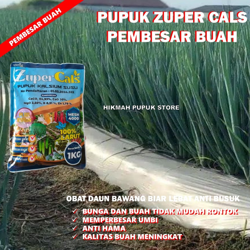 PUPUK ANTI BUSUK BATANG BAWANG DAUN ZUPERCALS 1 KG Pupuk Pencegah Busuk bawang daun, Busuk Buah, Bus