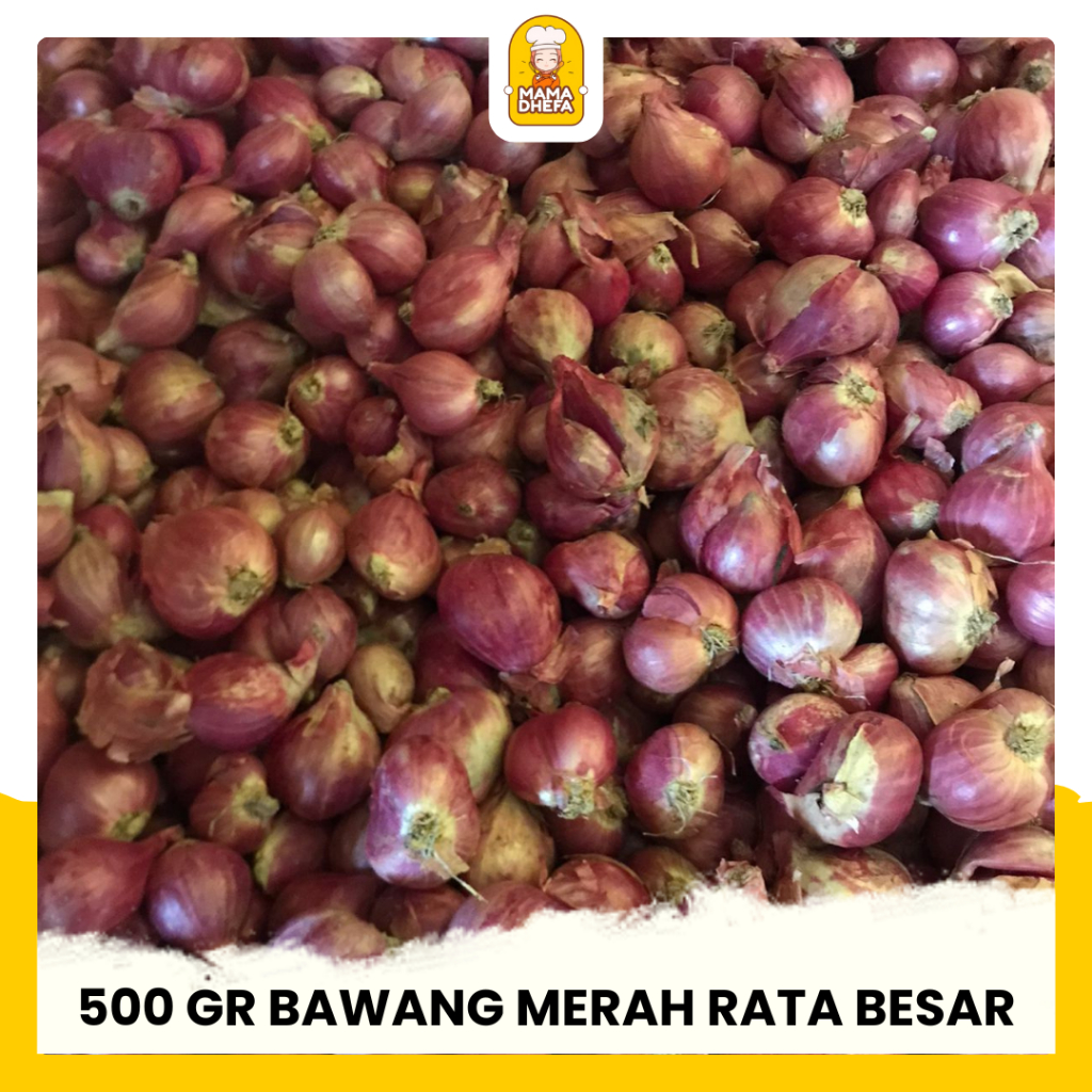 

Bawang Merah Besar 500 Gram Bawang Merah Segar Kering Berkualitas