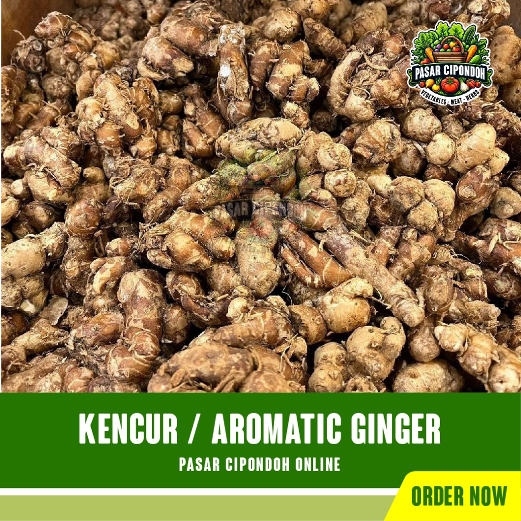 

Kencur Kencor Cikur Rempah Organik 100 gram / Aromatic Ginger - Pasar Cipondoh Tangeran