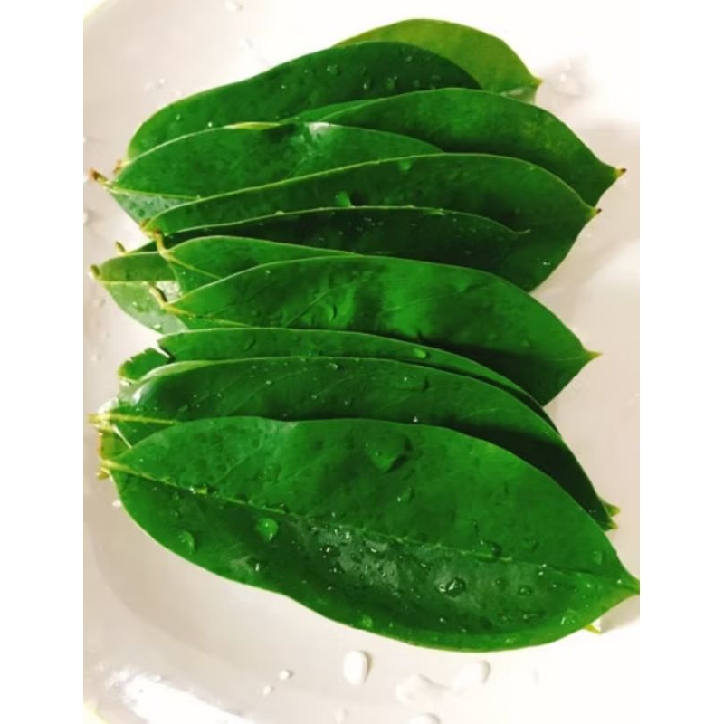 

DAUN SIRSAK FRESH isi45 lembar