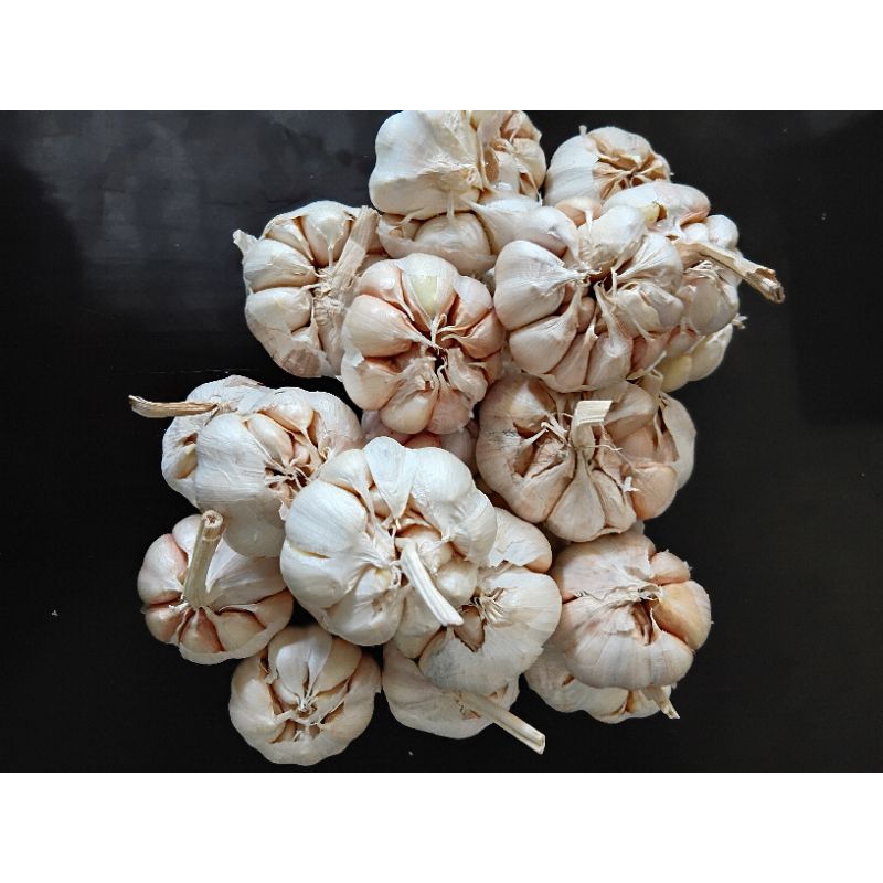 

Bawang putih 1 kg