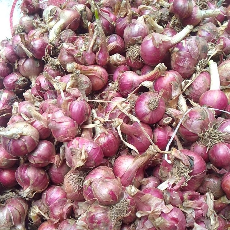 

bawang merah lokal kering